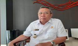 Wali Kota Tangerang Selatan Benyamin Davnie. 