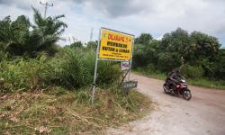 KLHK: Restorasi Gambut Berpotensi Tingkatkan Kesejahteraan Warga Desa