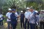 PTPN IV PalmCo Wujudkan Industri Sawit Berkelanjutan melalui Tiga Pilar