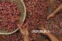 Harga Bawang Merah Bikin Meringis, Kementan Stabilkan Pasokan