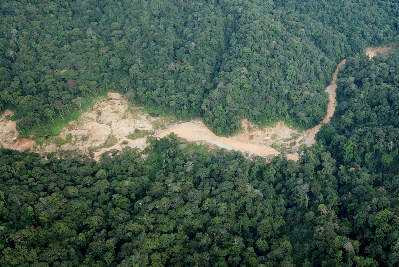 Pembalakan Liar dan Upaya Melestarikan Hutan Indonesia