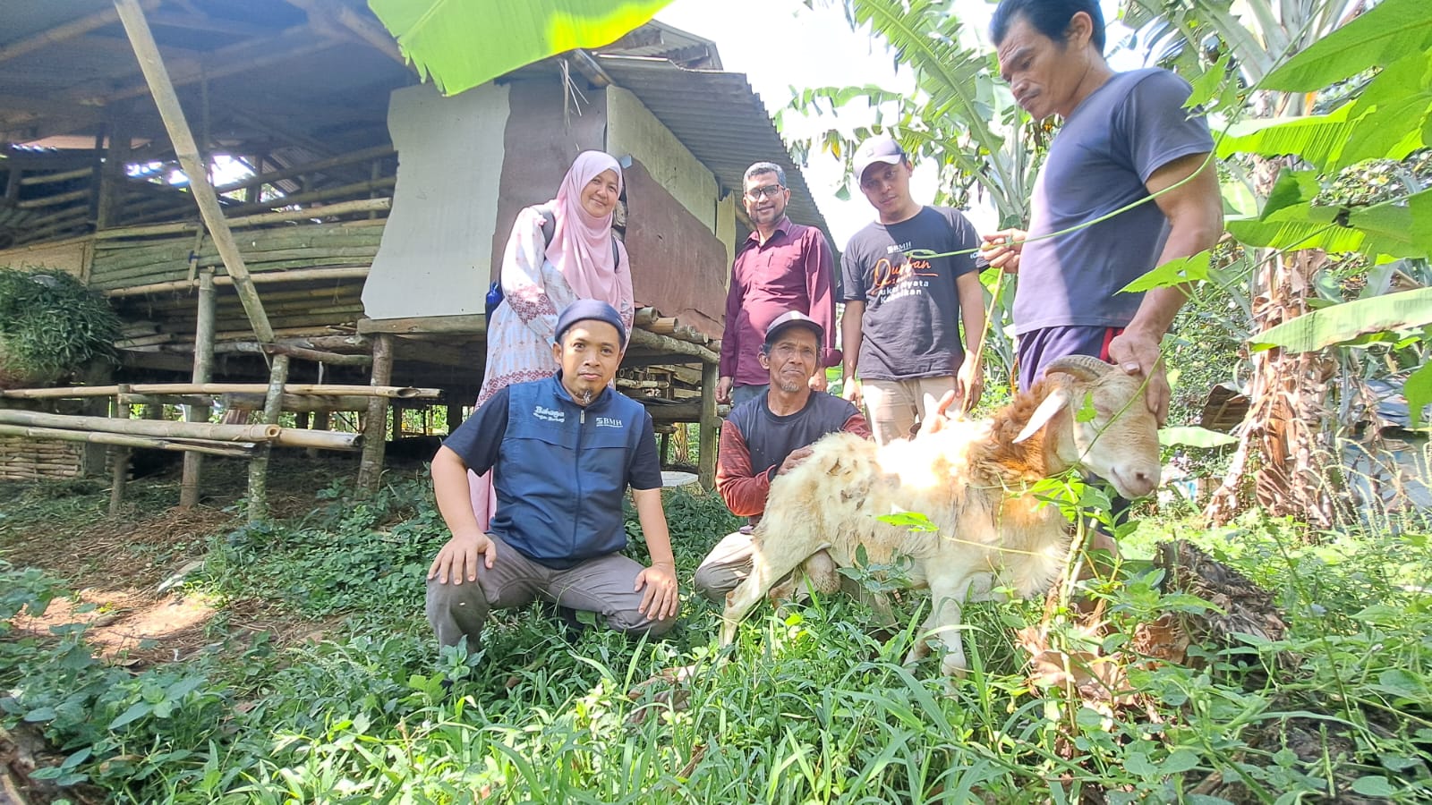 BAZNAS RI Kunjungi Peternak binaan BMH