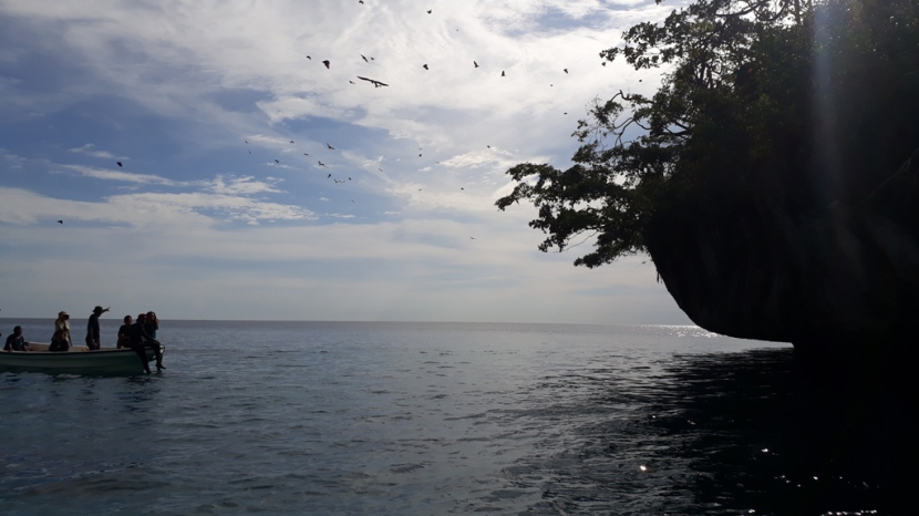 Pengunjung sedang melihat kelelawar yang terbang akibat gangguan lemparan batu ke pepohonan di pulau karang di Teluk Nusalasi - Van Den Bosch, Fakfak.