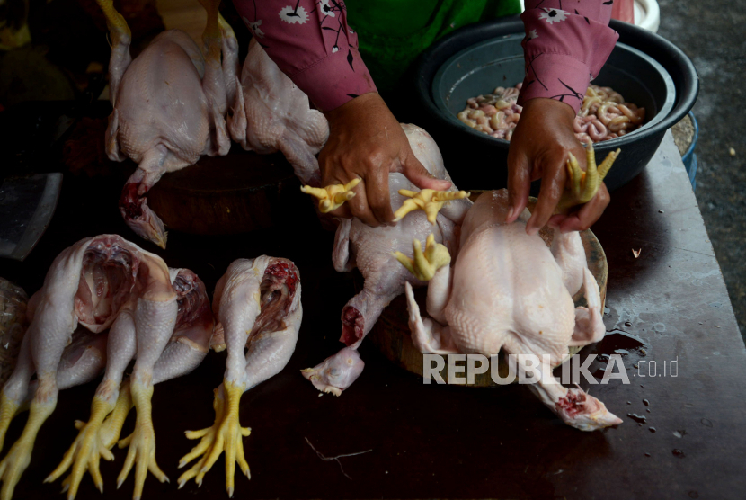 Penjual daging ayam di pasar. Foto: Republika/Prayogi