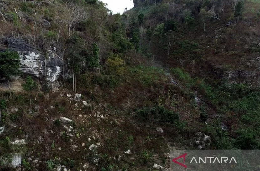 Hutan Bowosie di Labuan Bajo bakal diremajakan untuk menjadi wisata ecotourism.