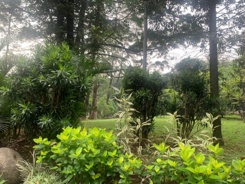 kebun raya Bogor, Dokumen pribadi