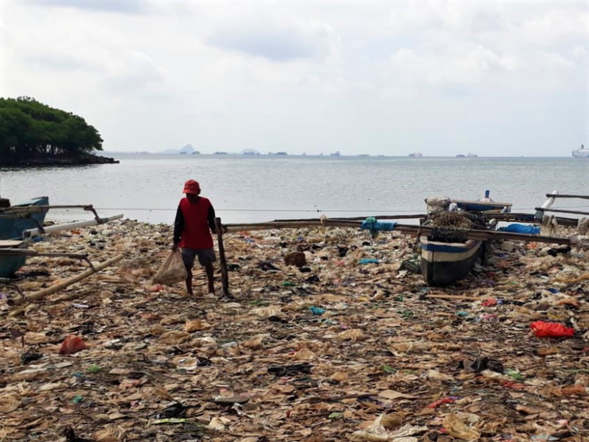 Pantom sedang mencari kayu bekas di sela-sela tumpukan sampai plastik di Pantai Sukaraja, Bandar Lampung, Senin (29/1/2024). (Foto: Mursalin Yasland)