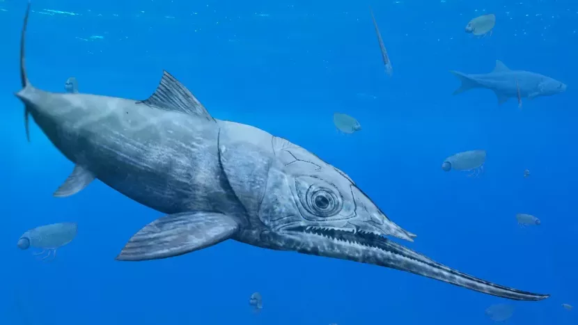 Ikan purba besar Alienacanthus memiliki rahang yang sangat besar dan ekstrem. (Kredit: Beat Scheffold dan Christian Klug).