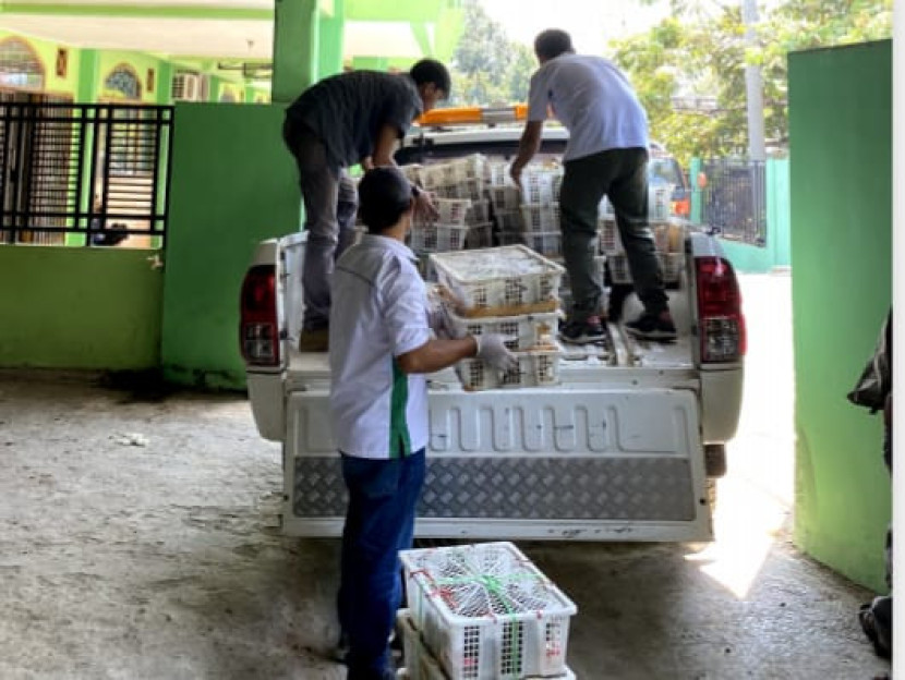Berbagai jenis burung liar asal Sumatra selundupan siap dilepasliarkan lagi. (Foto: Dok Flight)