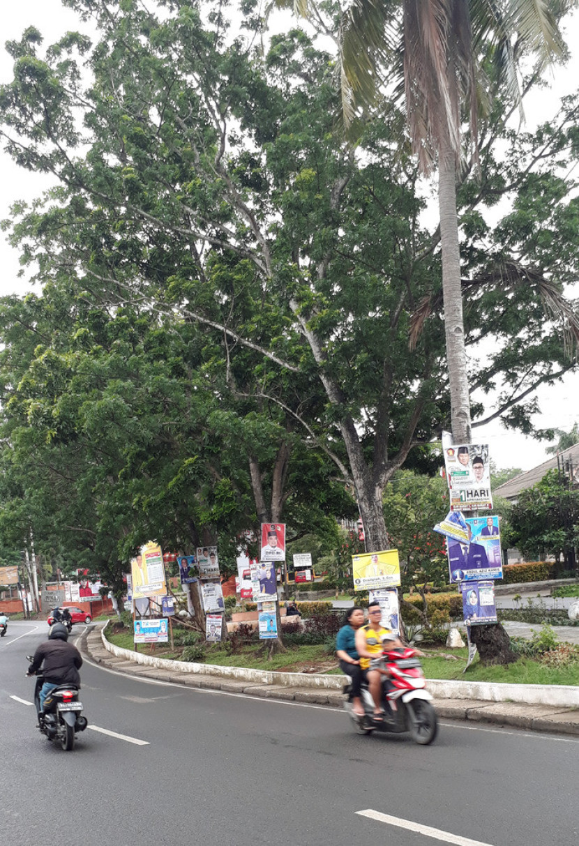 APK visual caleg dan capres terpasang pada pohon berjumlah sekitar 10 batang di taman sudut Jalan Sultan M Mansyur, Bukit Lama, Palembang. (FOTO : Maspril Aries)