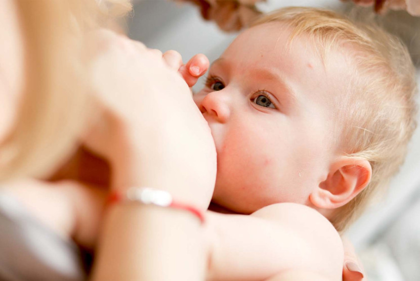 Bayi menyusu. Memberikan bayi ASI lewat botol dengan menggunakan dot orthodontic menjadi solusi bagi bayi yang tak mau menyusu langsung dari payudara ibu. Foto: Dok Republika.