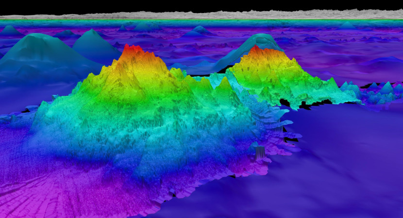 Pindaian gunung bawah laut baru yang ditemukan peneliti Schmidt Ocean Institute di periran Cile. (Schmidt Ocean Institute)