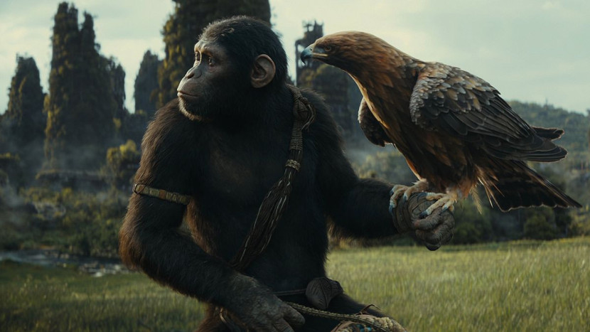 Salah satu adegan di film Kingdom of the Planet of the Apes. Film ini diperkirakan menjadi film 2024 yang diprediksi mengalami 'mimpi buruk' dan kurang laris di pasaran. (Dok 20th Century Fox).