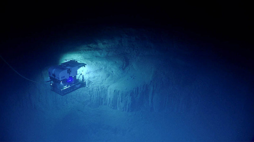 Kendaraan yang dioperasikan dari jarak jauh Deep Discoverer mensurvei fitur geologi yang menarik selama penyelaman terakhir ekspedisi Windows to Deep 2018. (NOAA).