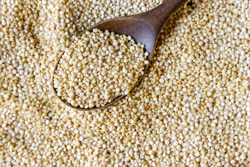 Quinoa (Sumber: Freepik)