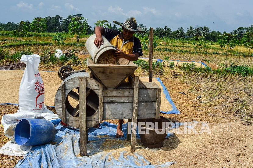 Petani sedang mengolah gabah hasil panen. (Foto: Dok Republika.co.id)