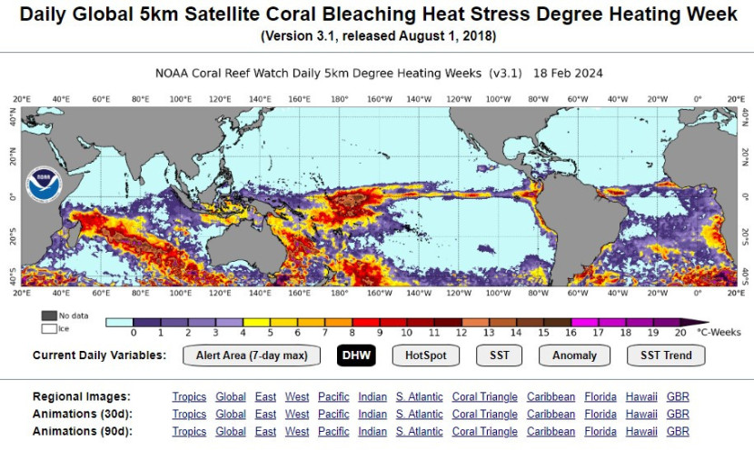 Area kewaspadaan peluruhan terumbu karang. (NOAA)