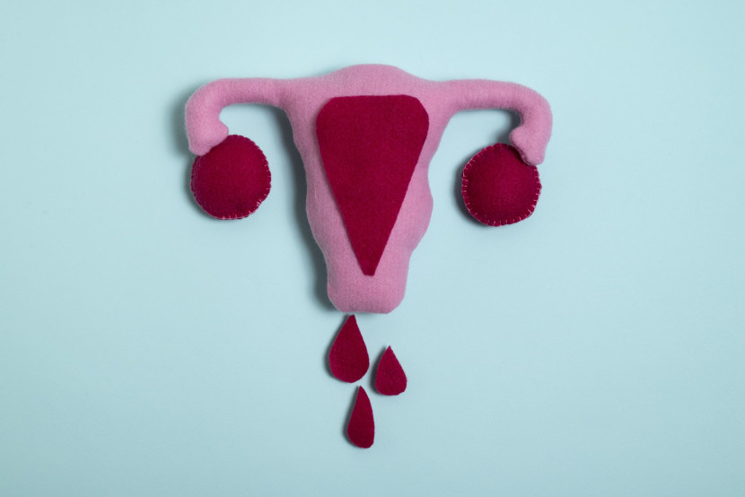 Ilustrasi menstruasi Sumber:Freepik