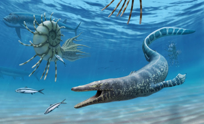 Ilustrasi Sarabosaurus, yang meluncur di lautan 94 juta tahun lalu. (Kredit gambar: Andrey Atuchin)