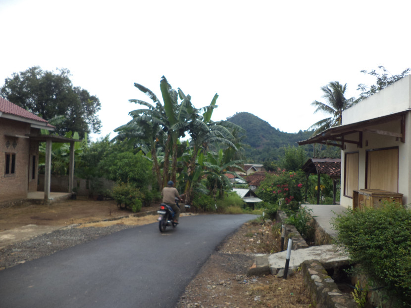 Jalan menuju perbukitan atas hutan Register 19 Taman Hutan Rakyat Wan Abdul Rachman. (Foto: SumatraLink.id/Mursalin Yasland)