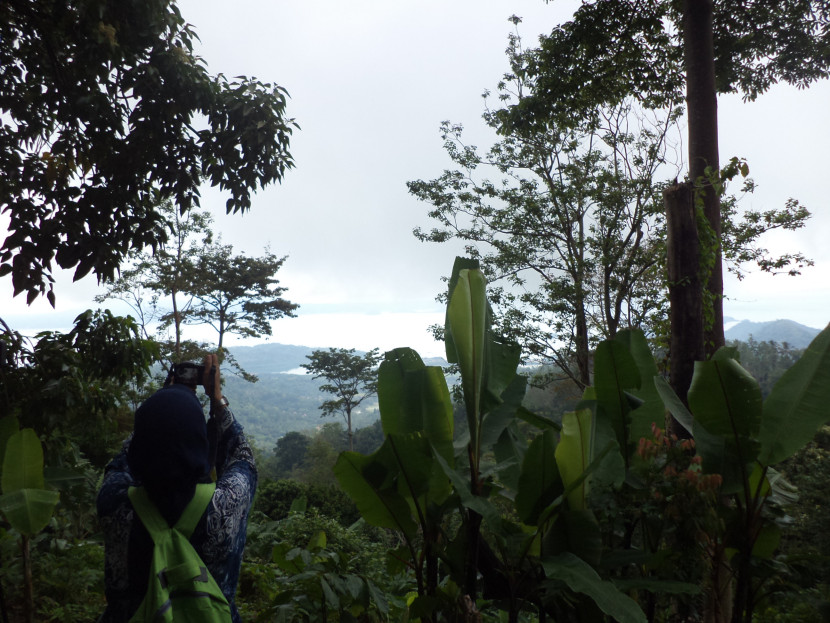 Memandang kawasan laut dari puncak Gunung Betung. (Foto: SumatraLink.id/Mursalin Yasland)