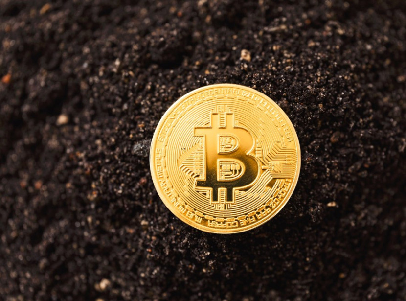 Prediksi Harga Bitcoin Maret 2024 Beserta Analisis, Sanggupkah Bertahan di Atas Rp 1 miliar? (ilustrasi: pexels)