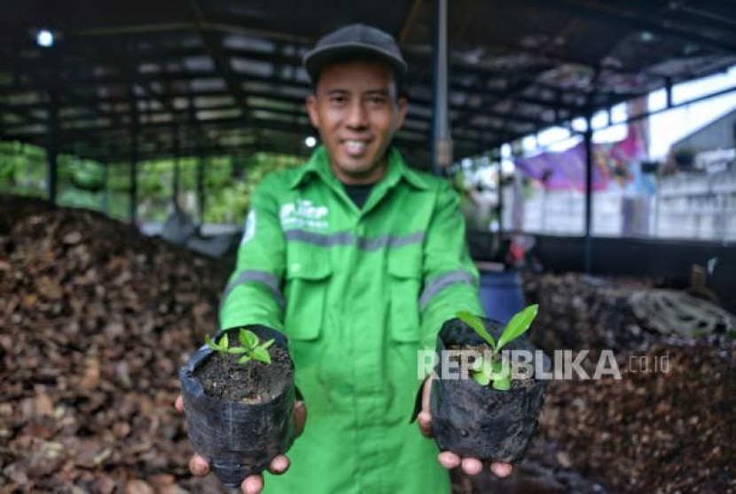 Tim hijau rumah kompos & nursery PT Jakarta Industrial Estate Pulogadung (JIEP) menunjukan bibit tanaman yang menggunakan pupuk kompos yang di buat di rumah kompos & nursery JIEP di Kawasan JIEP, Pulogadung, Jakarta, Kamis (23/11/2023). (Dok Republika)