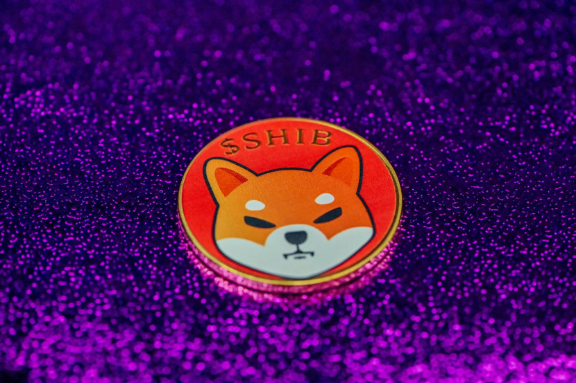 Prediksi Harga Altcoin Shiba Inu (SHIB), Bisakah Market Cap Memecoin Ini Tembus 100 miliar dolar AS? (unsplash)