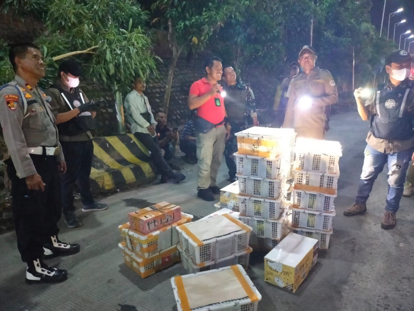 Petugas BKP Satpel Bakauheni bersama KSKP menggalkan penyelundupan 1.400 burung di Pelabuhan Bakauheni, Lampung, Jumat (22/3/2024) malam. (Foto: BKP Lampung)