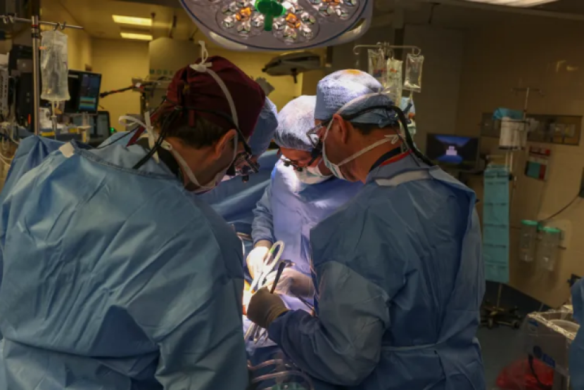Sebuah tim ahli bedah berhasil mentransplantasikan ginjal babi ke pasien yang masih hidup untuk pertama kalinya di Massachusetts General Hospital. Gambar: aljazeera.com