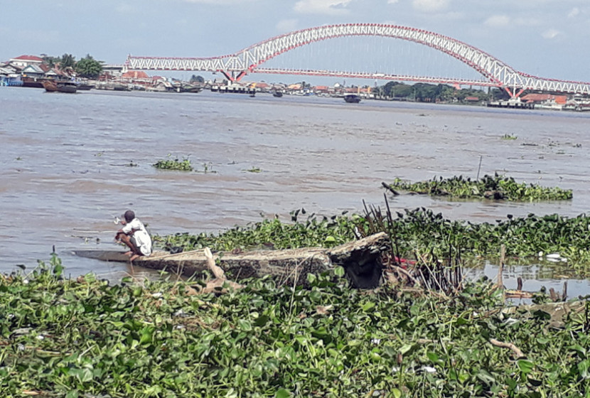 Sungai Musi selain yang banyak dengan sampah, salah satunya enceng gondok. (FOTO: Maspril Aries)