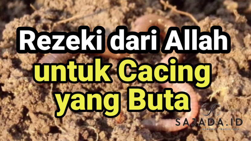 Semua makhluk Allah dijamin rezekinya, termasuk seekor cacing yang buta Sumber: (Dok. Sajada.id)