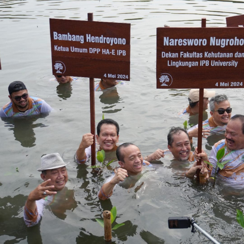Bambang dan anggota HA-E IPB University dari seluruh Indonesia melakukan penanaman bibit mangrove dan melakukan aksi bersih sampah di kawasan TWA Mangrove Angke Kapuk. (Dok KLHK)