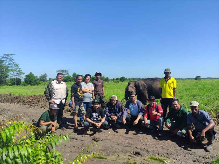 Tim peneliti Puskass di Pusat Latihan Gajah (PLG) Sub Padang Sugihan. (FOTO: Dok. Puskass)