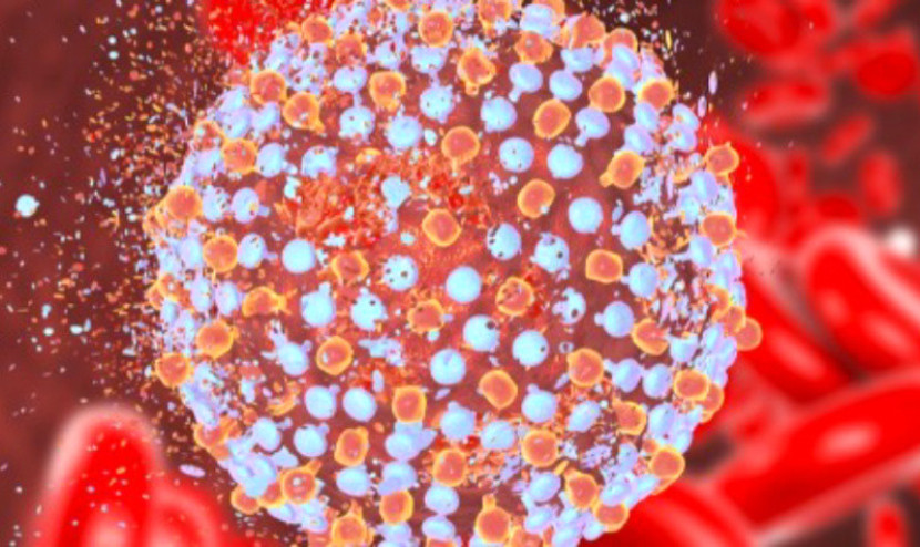 Ilustrasi Virus Hepatitis C/Shutterstock