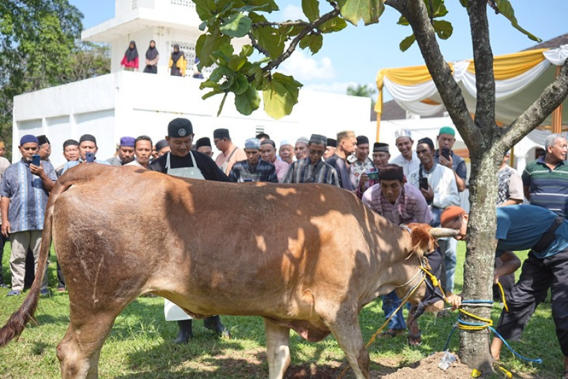 Praktik pelatihan penyembelihan hewan kurban dari PTBA Tbk kepada juru sembelih. (FOTO: Humas PTBA)