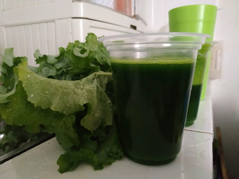 Jus Kale superfood kaya nutrisi / FIFARM