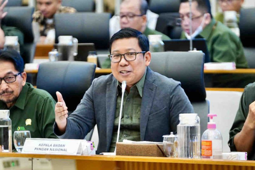 Kepala Badan Pangan Nasional (Bapanas), Arief Prasetyo Adi. (Foto: Ant/RI)