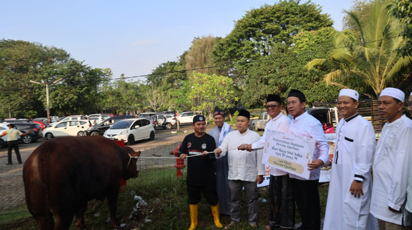 Penyerahan bantuan hewan kurban sapi seacra simbolis dari PT Bukit Asam Tbk. (FOTO: Humas PTBA)