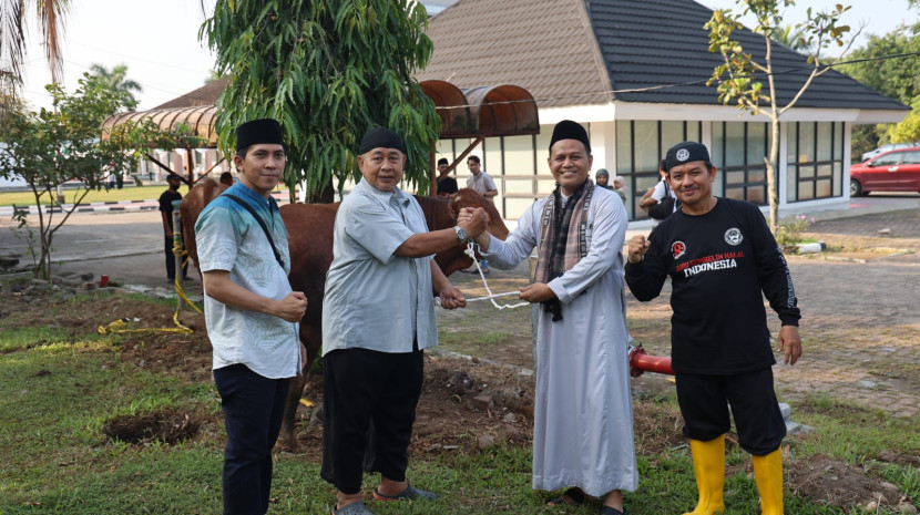 Penyerahan bantuan hewan kurban sapi seacra simbolis dari PT Bukit Asam Tbk. (FOTO: Humas PTBA)