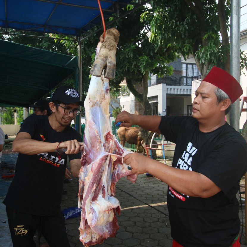 Sugeng, kanan, panitia bagian pencacahan kambing. (Akbar)