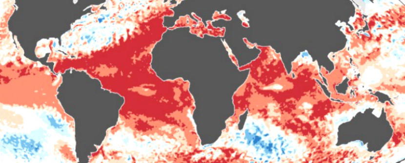 Perubahan suhu di lautan di seluruh dunia. (Copernicus Climate Change Service/ECMWF)