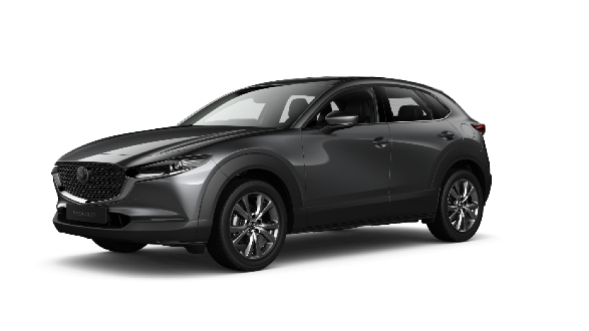 Mazda CX-30. DOK. MAZDA INDONESIA