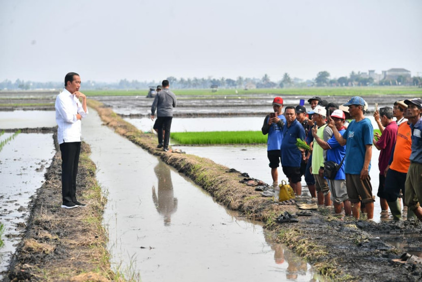 Presiden Jokowi tinjau lahan sawah Kecamatan Palas, Kabupaten Lampung Selatan, Lampung, Kamis (11/7/2024). (Foto: SumatraLink.id/Humas Kementan)