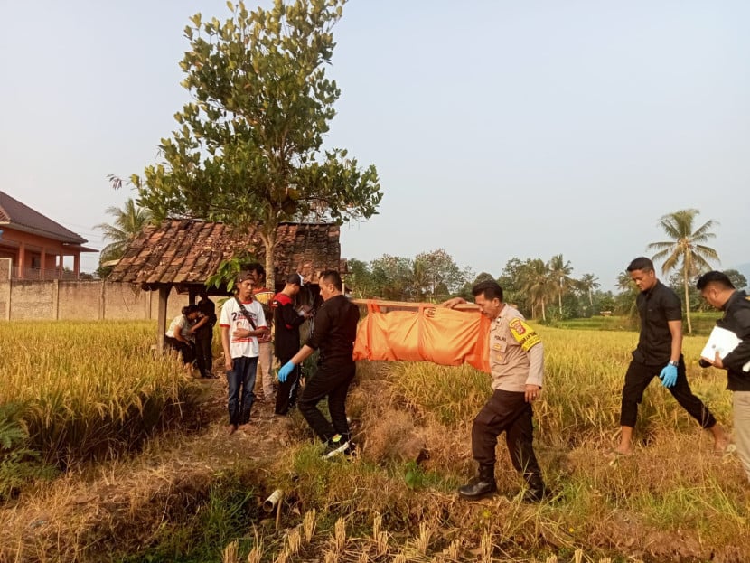 Aparat Polres Sukabumi Kota mengevakuasi jenazah di pematang sawah di Kecamatan Lembursitu, Kota Sukabumi, Selasa (30/7/2024).