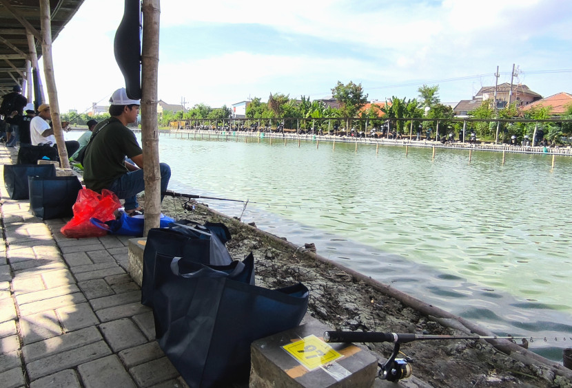 Peserta mengikuti lomba mancing yang digelar Disbudpar Jatim di kolam pemancingan AL 52 Surabaya, Sabtu (3/8/2024)