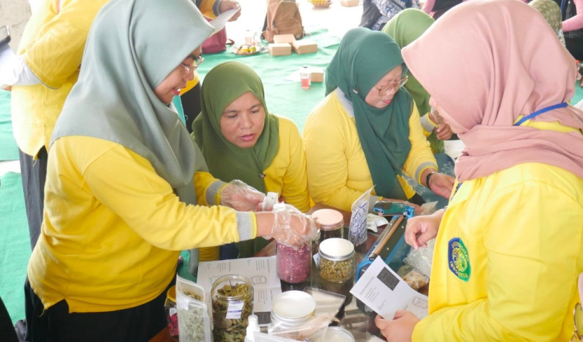 Praktik langsung pembuatan Biffa Tea oleh Dosen FFUI. (Foto: Dok Biro Humas & KIP UI)