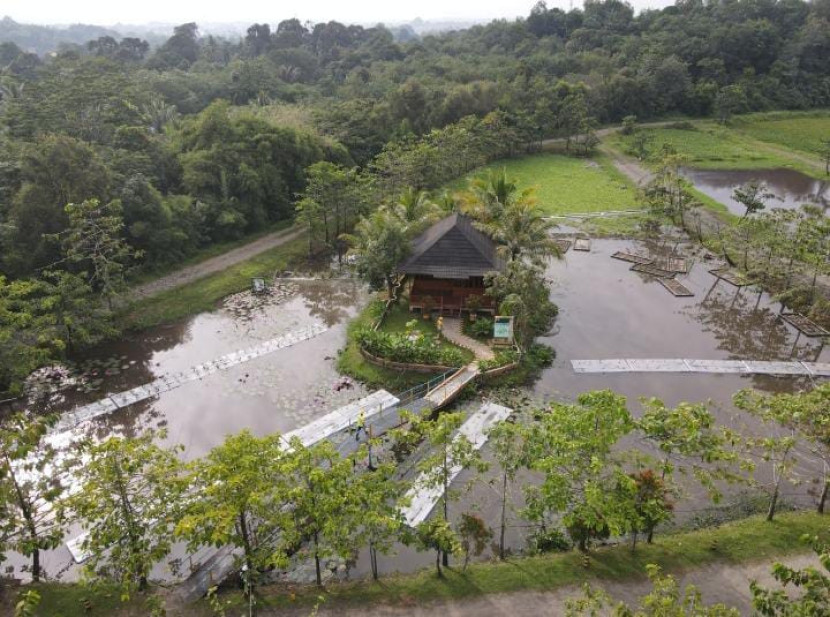 Lahan basah buatan PTBA. (FOTO: Humas PTBA)