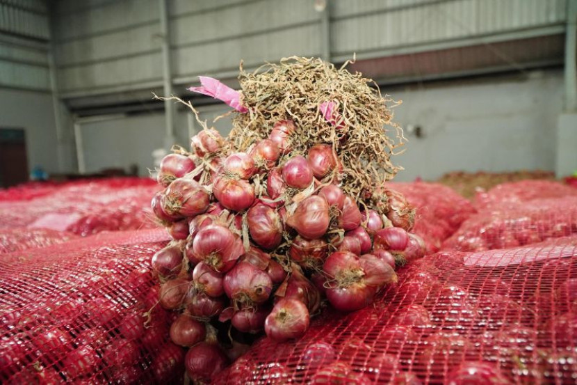 Ilustrasi bawang merah di sebuah gudang penyimpanan. (Foto: Bapanas)