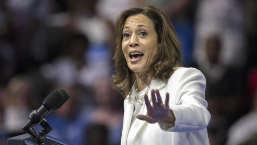 Kamala Harris saat kampanye presiden di Savannah, Georgia, Amerika Serikat, Kamis (29/8/2024). (Foto: Stephen B Morton/AP)